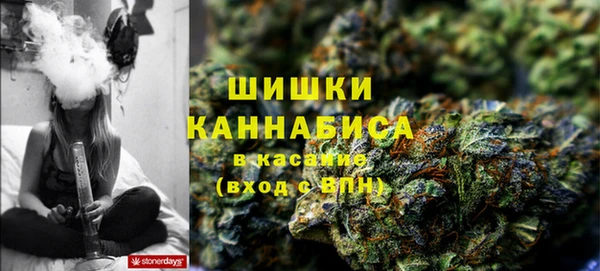 ГАЛЛЮЦИНОГЕННЫЕ ГРИБЫ Верхнеуральск